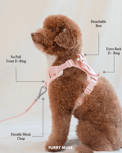 Wander! Bow Harness 2.0 - Leopard